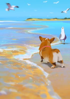 Shiba Inu and Beach