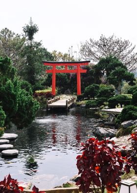 Beautiful Torii Gates