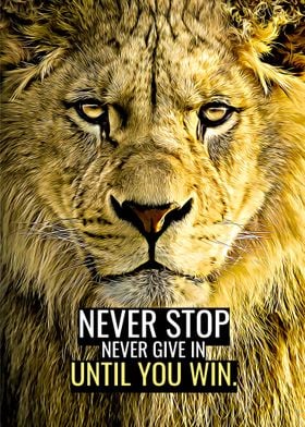 Never Stop Never Give In