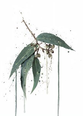 Botanical Eucalyptus