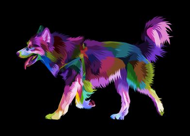 Colorful husky dog