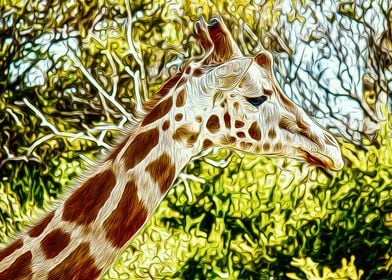 Giraffe