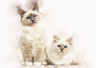 Watercolor Cute Cat