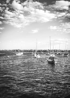 Sailboats on the Lake MPLS