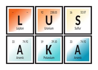 Lusaka Elements