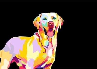 labrador retriever wpap