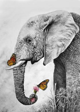 Elephant with butterflies