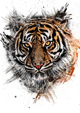 Animal Tiger