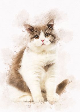 Watercolor Cute Cat