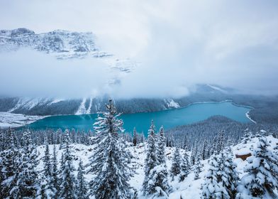 Peyto lake in winter Banff