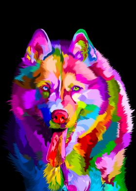 Colorful husky dog