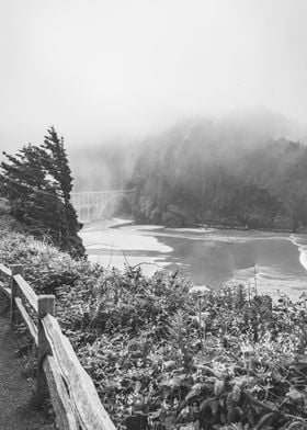 Oregon Coast Landscape PNW