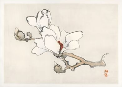 Ukiyo e White Flower