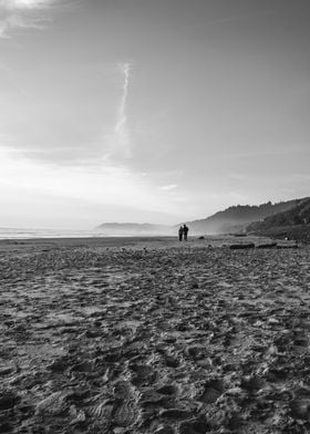 Oregon Coast Arch Cape PNW