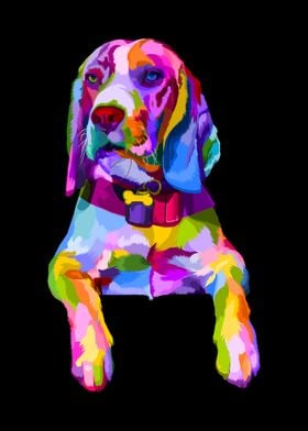 Colorful beagle dog