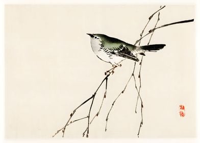 Ukiyo e Sparrow Bird