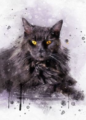 Maine Coon cat watercolor 