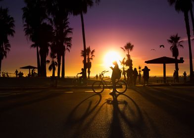 Venice beach