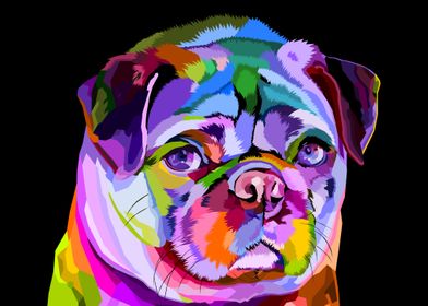 Colorful English bulldog