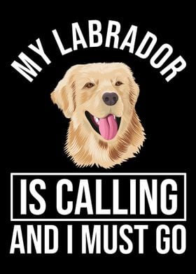 Labrador Dog