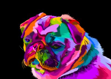 Colorful English bulldog