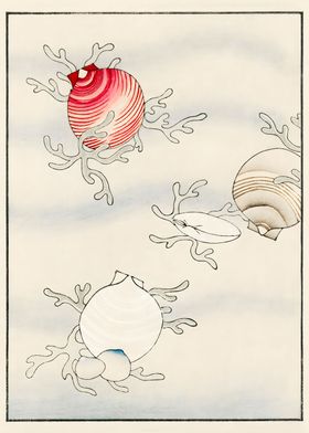 Ukiyo e Pomegranate