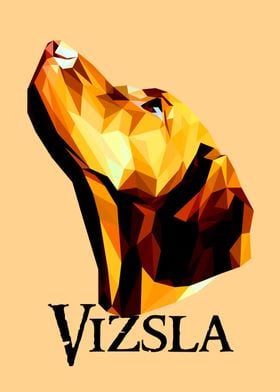 Vizsla