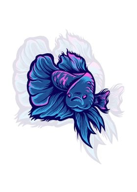 Betta fish