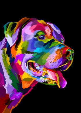 Colorful cute dog