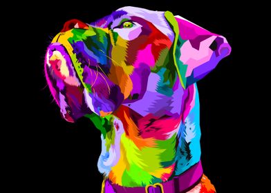 Colorful cute dog