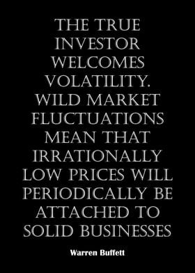 Warren Buffett Volatility