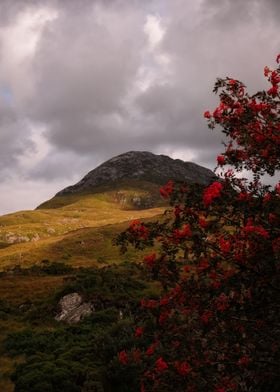 Scenic mountain