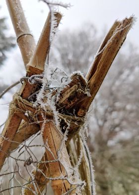 Frozen gate