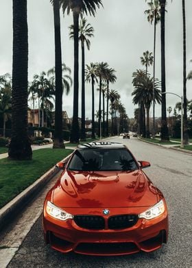 BMW and Lasvegas