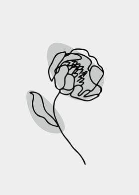 handrawn flower lineart