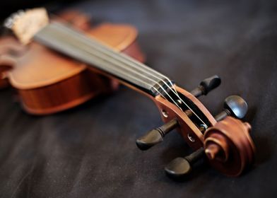 Violin