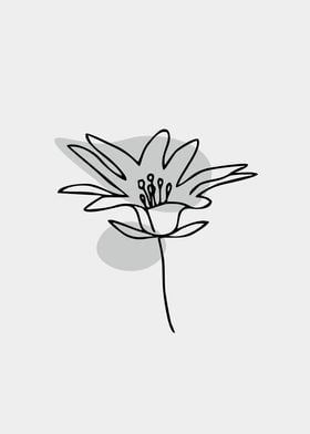 line art single floral