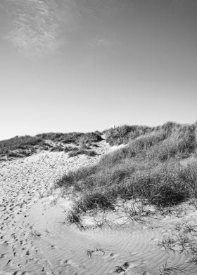 Oregon Coast Beach PNW