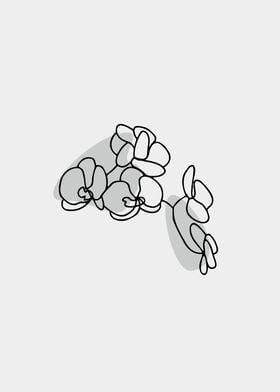 orchid minimalist