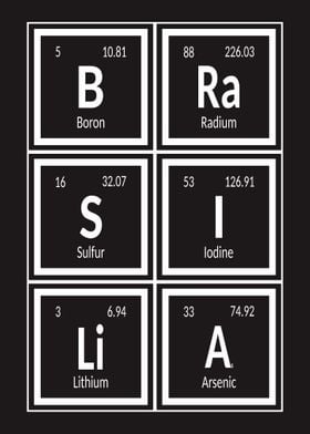 Elements of Brasilia