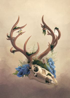 Skulls and Antlers