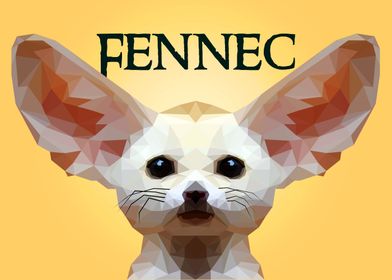 Fennec Fox