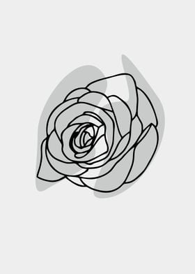 handrawn rose line art