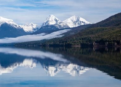 Lake Forest Mountains