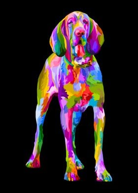 Colorful bloodhound dog