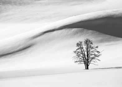 Snow Dunes