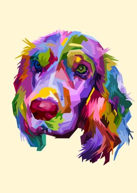 Colorful Cocker spaniel