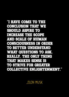 Elon Musk quote