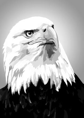 Eagle Black and white