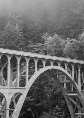 Cape Creek Bridge Oregon